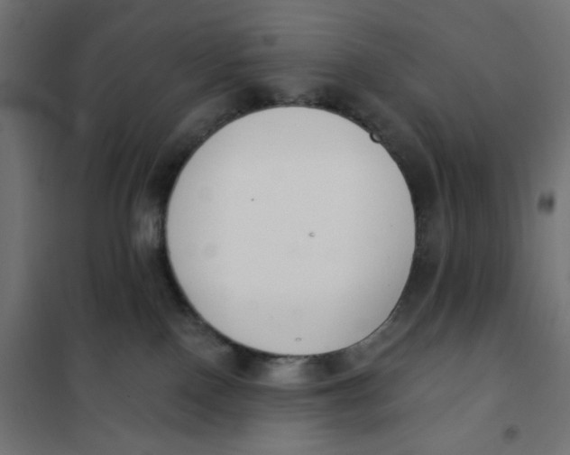 X0000101400090200807281012