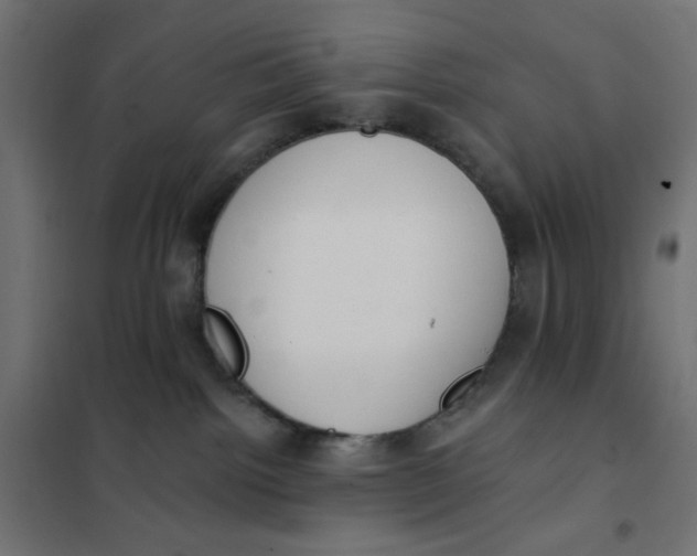 X0000101400092200807281012