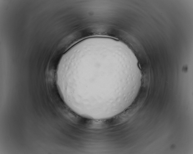 X0000101400093200807281012