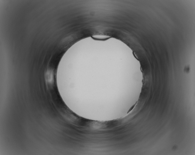 X0000101400094200807281012