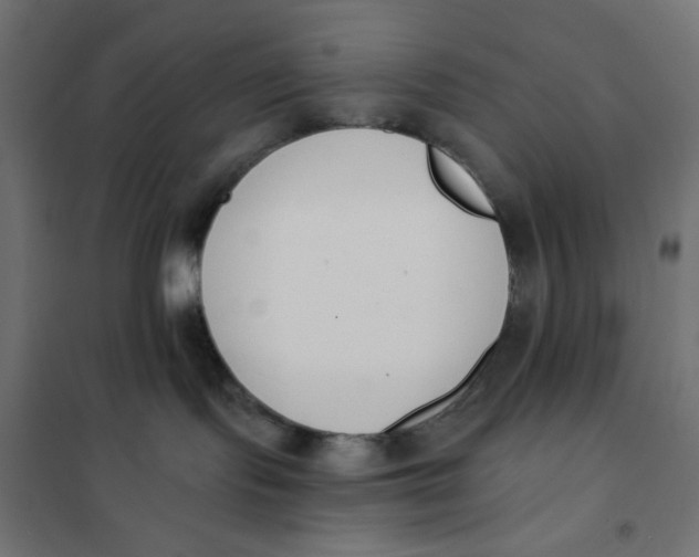 X0000101400095200807281012