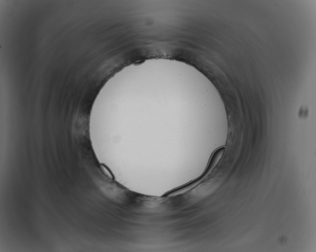 X0000101400096200807281012