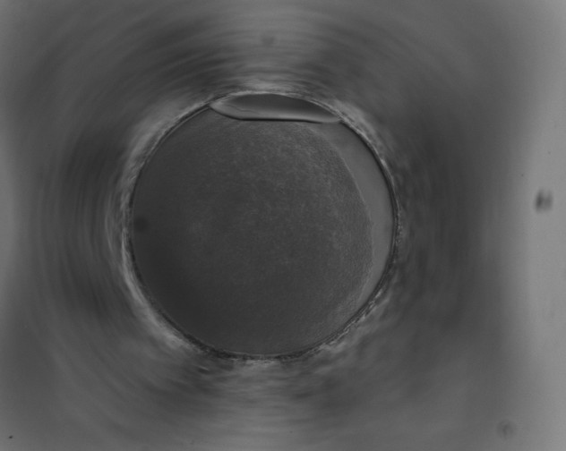 X0000101400097200807281011