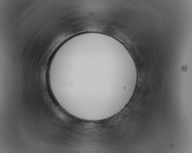 X0000101400098200807281011