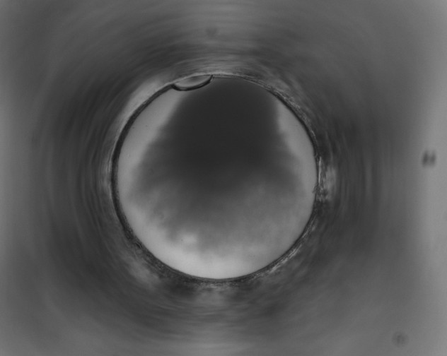 X0000101400099200807281011