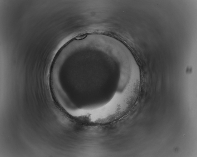 X0000101400100200807281011