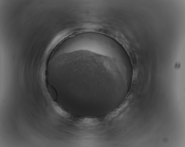 X0000101400101200807281011