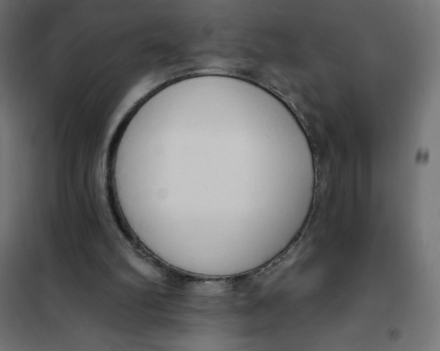 X0000101400102200807281011