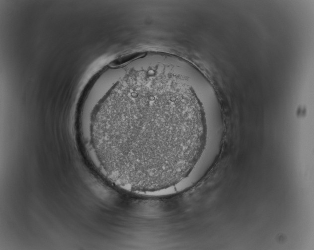 X0000101400104200807281011