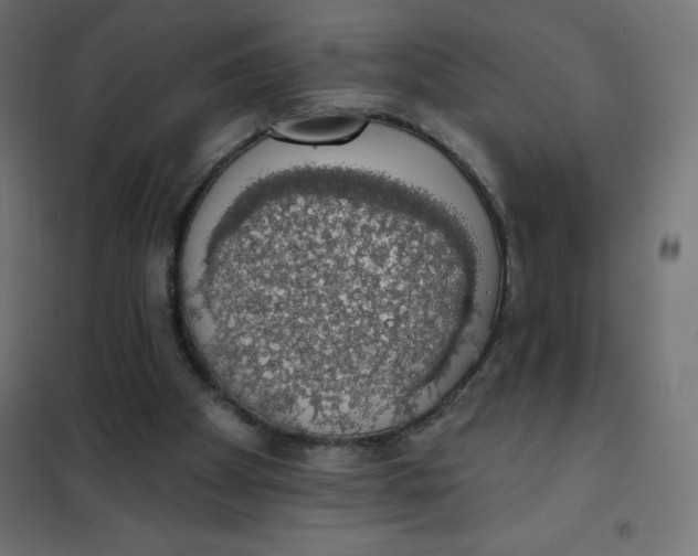 X0000101400105200807281011