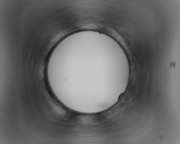 X0000101400106200807281011