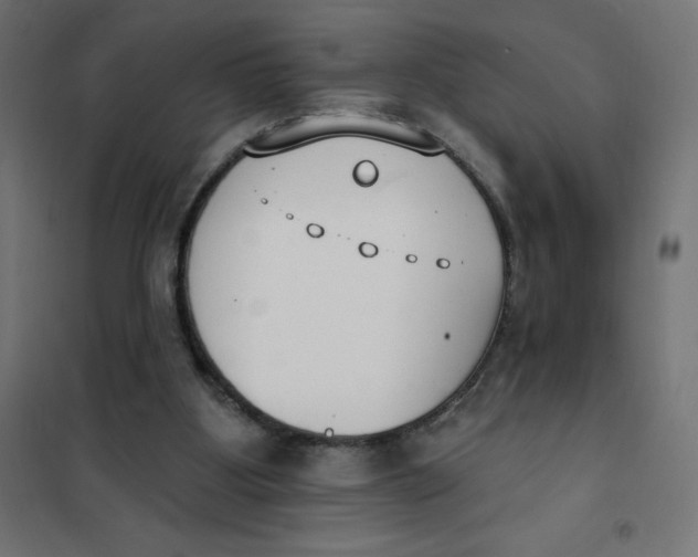 X0000101400107200807281011