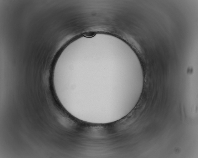 X0000101400108200807281011