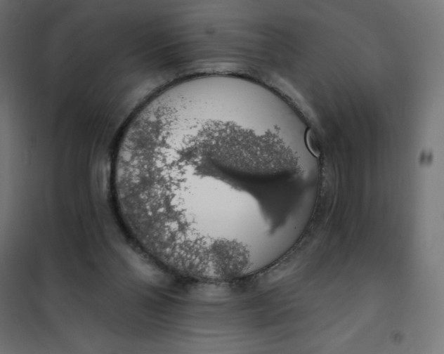 X0000101400110200807281011