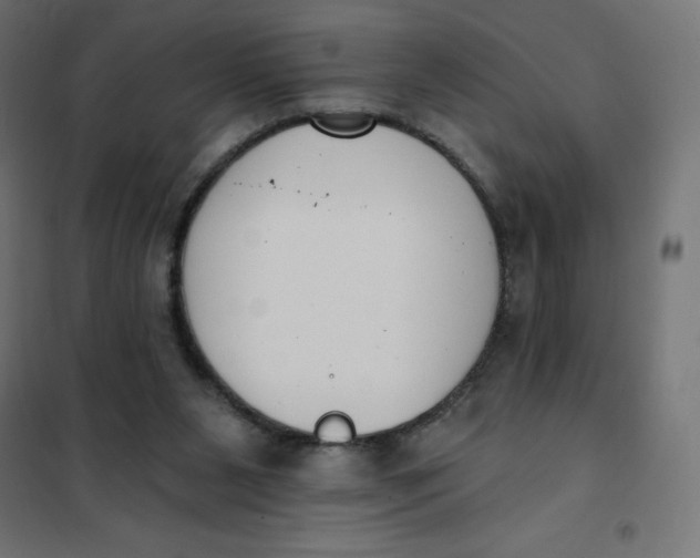 X0000101400111200807281011