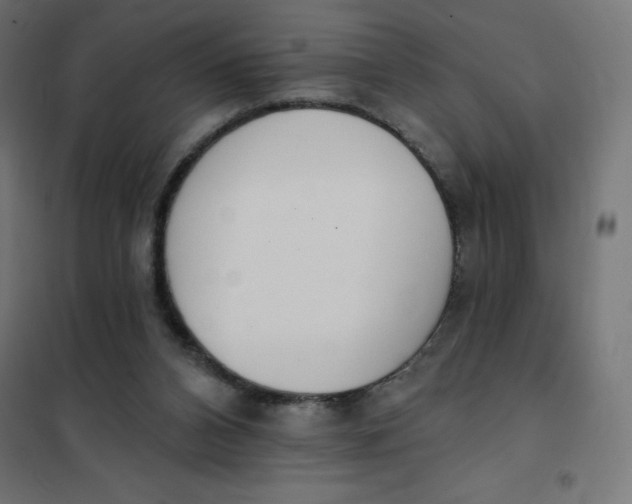 X0000101400112200807281011