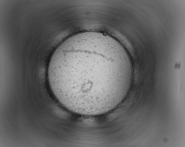 X0000101400113200807281011