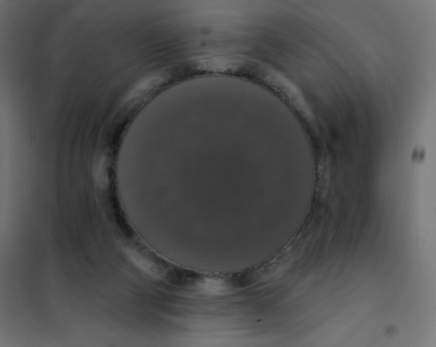 X0000101400114200807281011