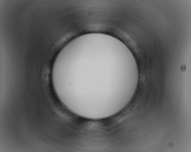 X0000101400115200807281011