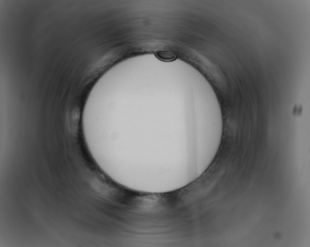 X0000101400118200807281011