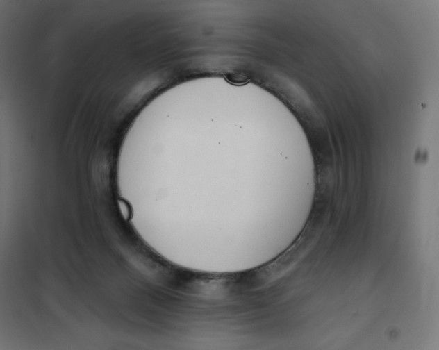 X0000101400120200807281011