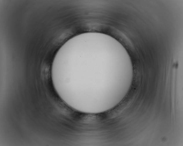 X0000101400123200807281011