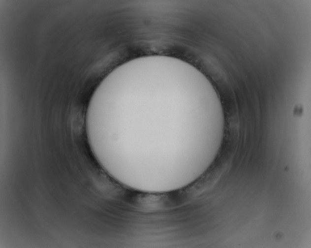 X0000101400129200807281011