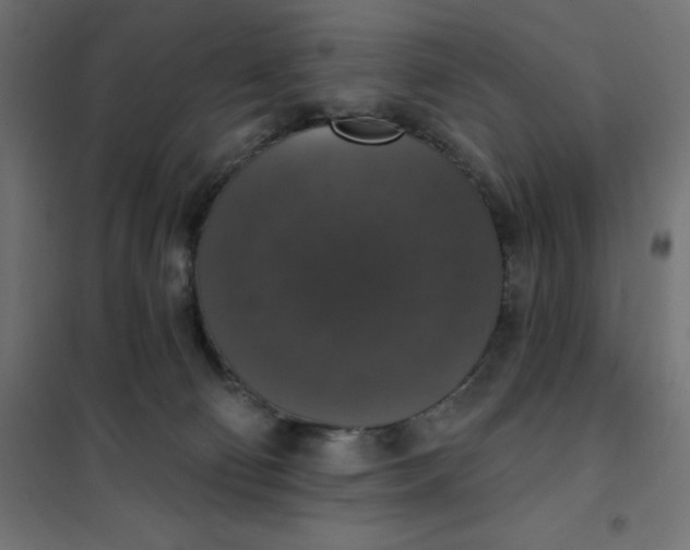 X0000101400130200807281011