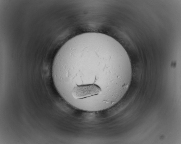 X0000101400131200807281011