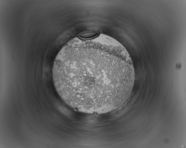 X0000101400136200807281011