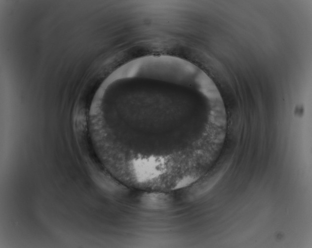 X0000101400137200807281011