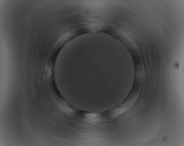 X0000101400139200807281011