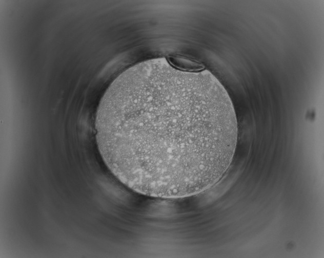 X0000101400140200807281011