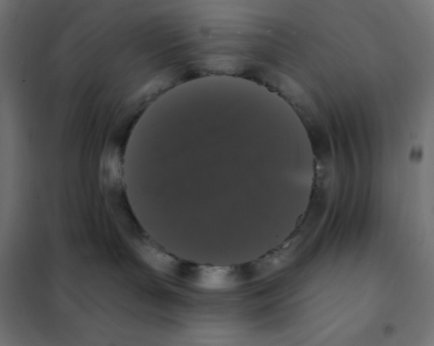 X0000101400143200807281011