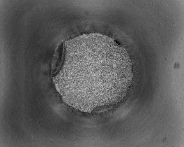 X0000101400144200807281011