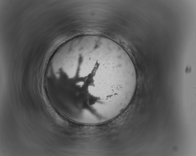 X0000101400145200807281010