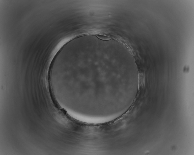 X0000101400147200807281010