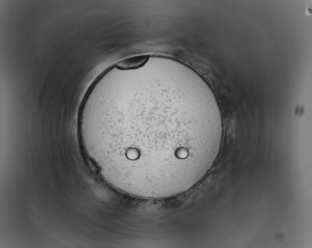 X0000101400148200807281010