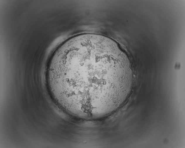 X0000101400149200807281010