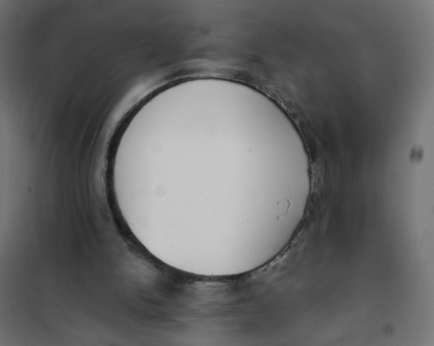 X0000101400150200807281010