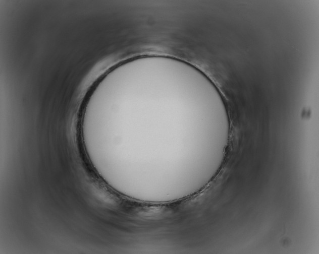 X0000101400151200807281010