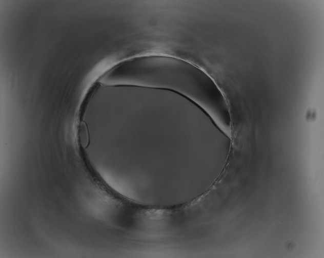 X0000101400152200807281010