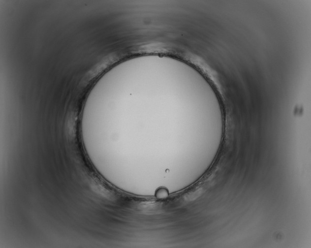 X0000101400153200807281010