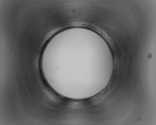 X0000101400155200807281010