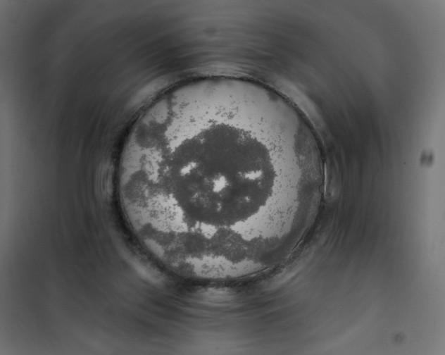 X0000101400157200807281010