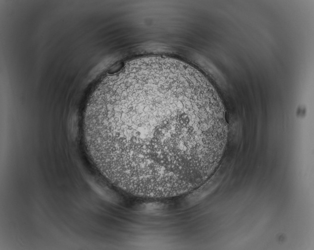 X0000101400158200807281010