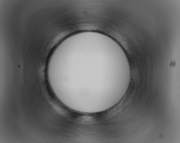 X0000101400159200807281010