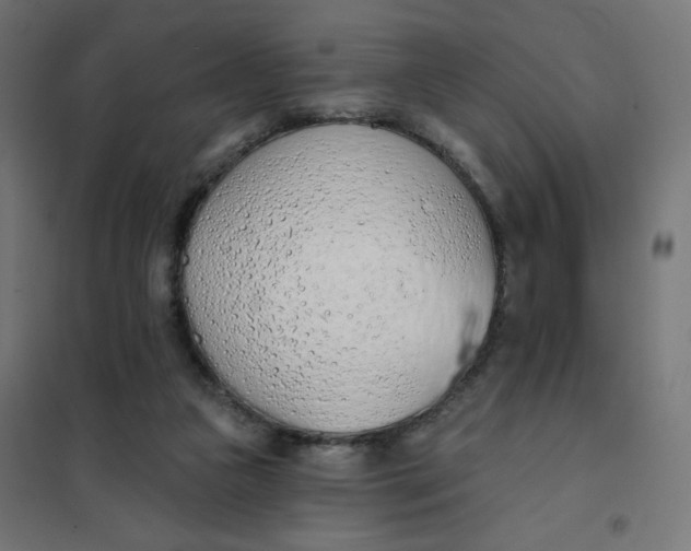 X0000101400161200807281010