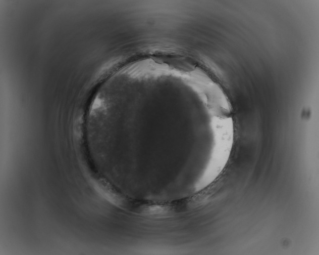 X0000101400163200807281010