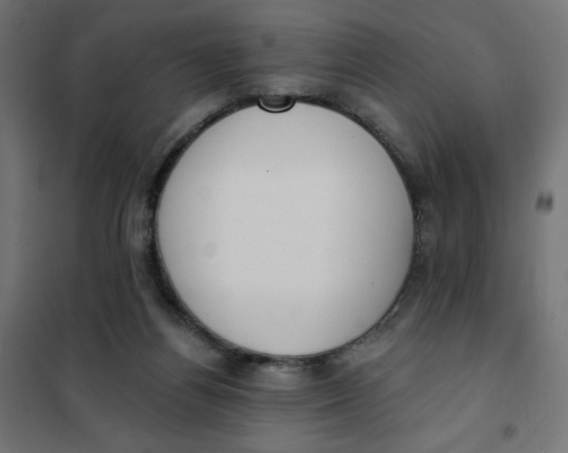 X0000101400164200807281010